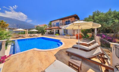 Villa Zeytin Ağaçı